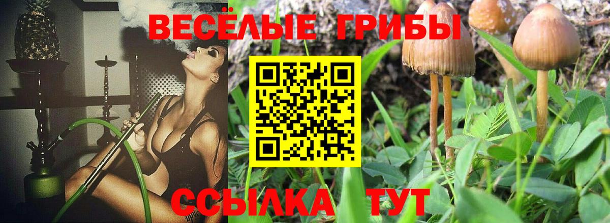 Псилоцибиновые грибы Psilocybine cubensis  Вход с VPN  Галлюциногенные грибы ЛСД  Мариинск 
